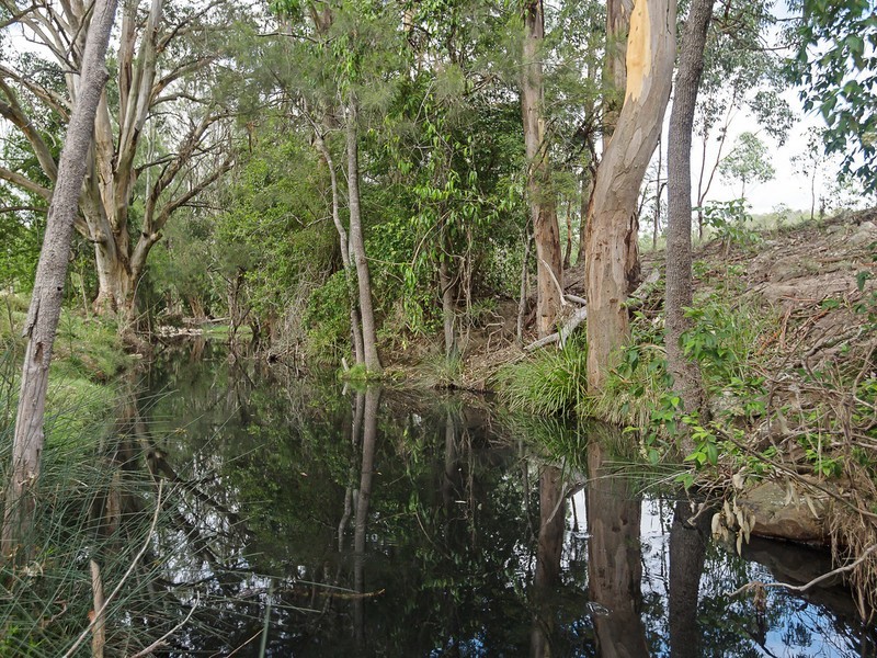 221 Blue Bonnet Road, Lambs Valley NSW 2335