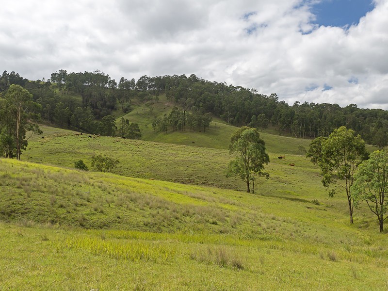 221 Blue Bonnet Road, Lambs Valley NSW 2335