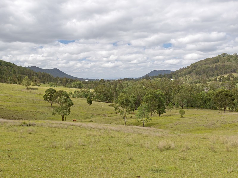 221 Blue Bonnet Road, Lambs Valley NSW 2335