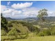 221 Blue Bonnet Road, Lambs Valley NSW 2335