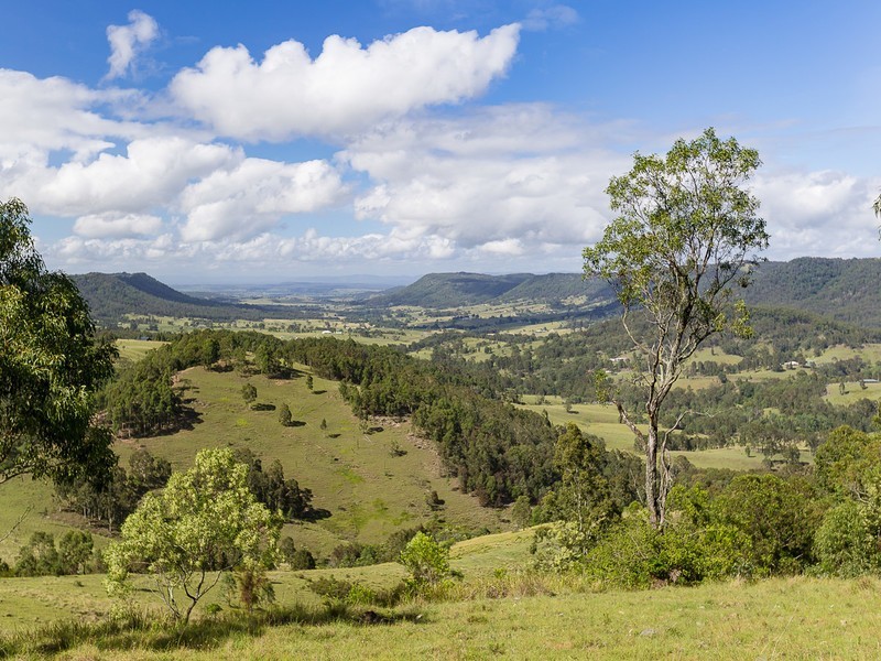 221 Blue Bonnet Road, Lambs Valley NSW 2335