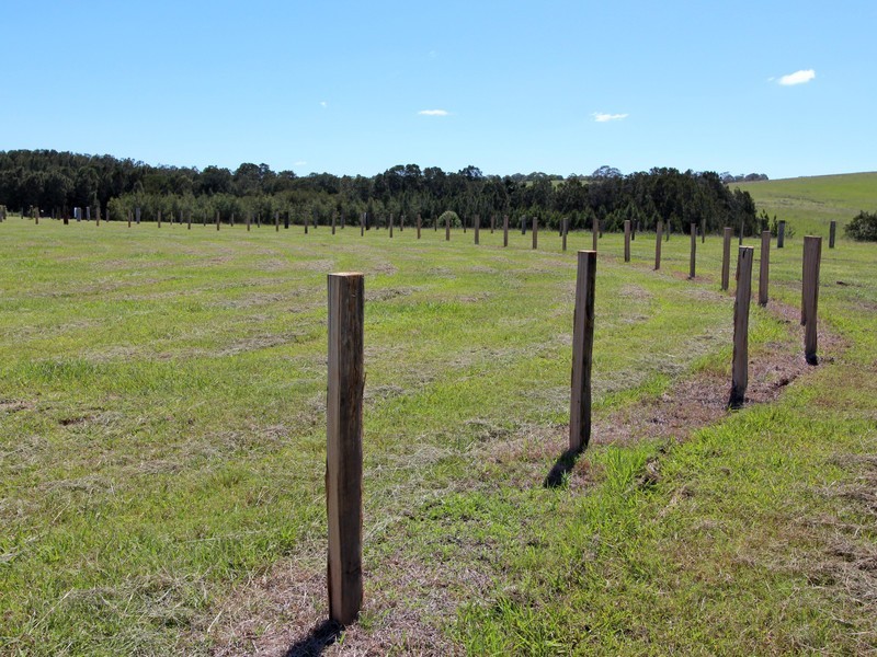 Lot 101 Sandstone Drive, Windella NSW 2320