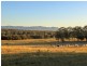 North Rothbury NSW 2335
