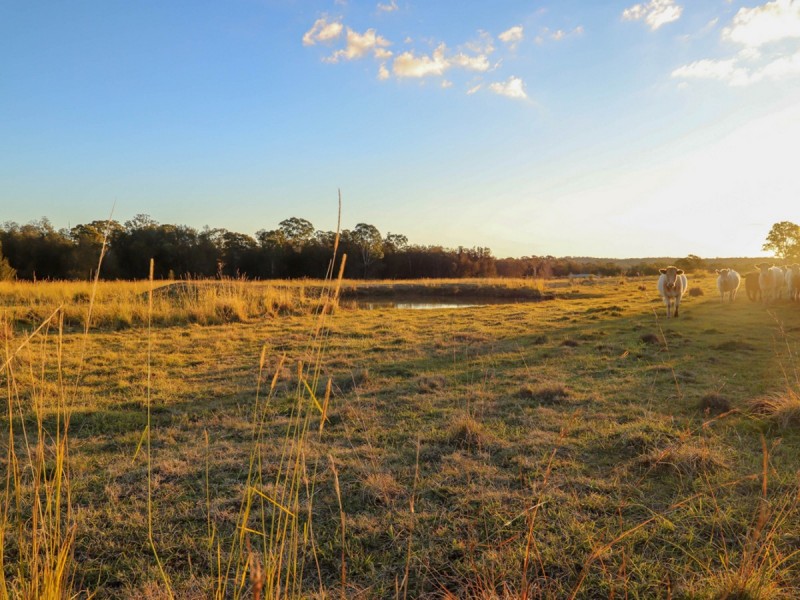 North Rothbury NSW 2335