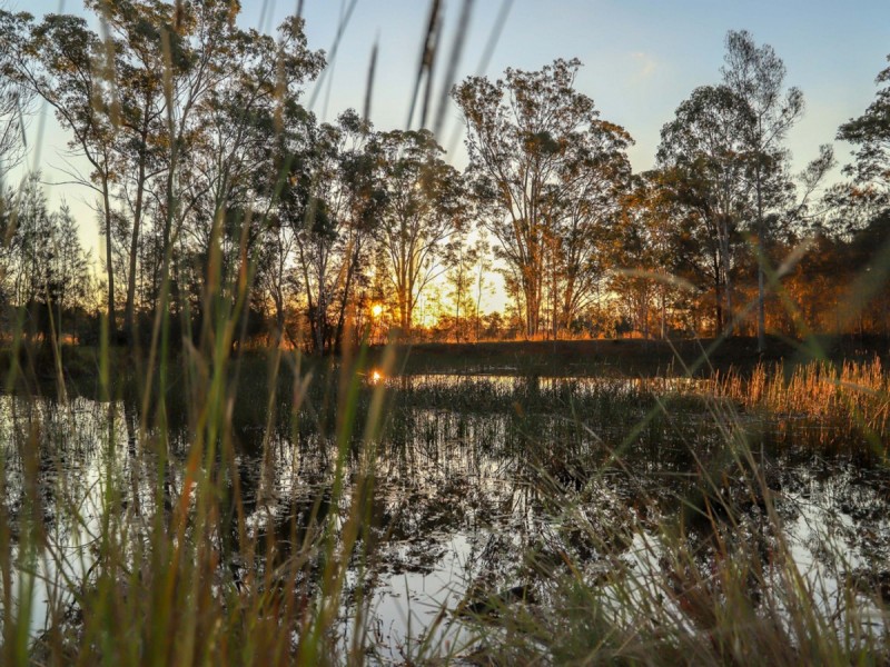 North Rothbury NSW 2335