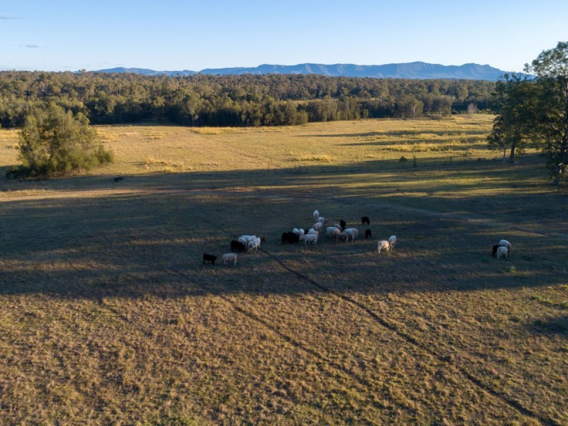 North Rothbury NSW 2335