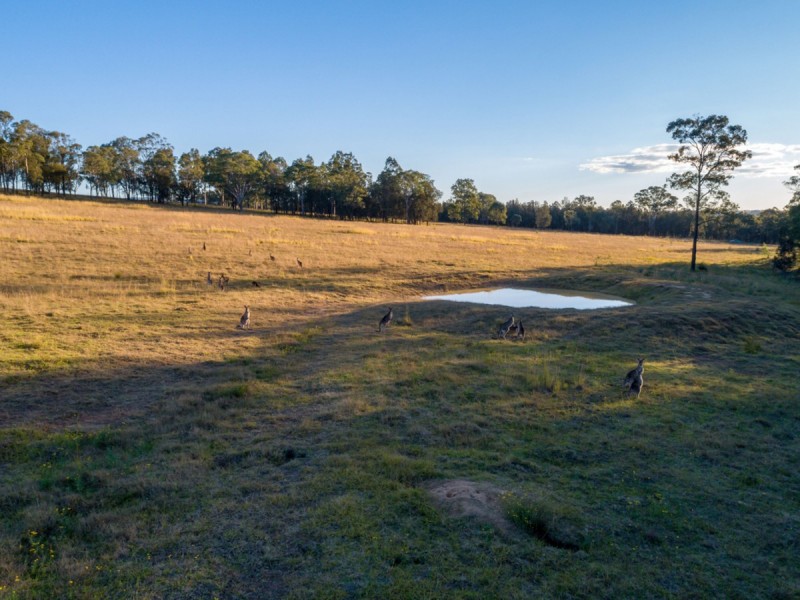 North Rothbury NSW 2335