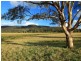 221 Fotheringay Road, Clarence Town NSW 2321