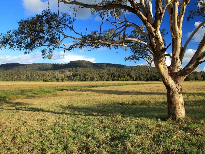 221 Fotheringay Road, Clarence Town NSW 2321