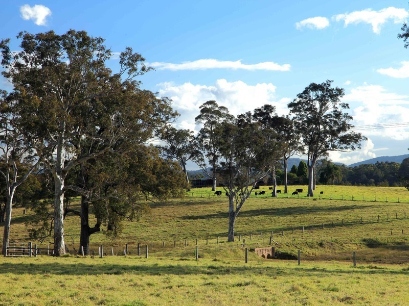 221 Fotheringay Road, Clarence Town NSW 2321