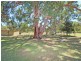 67 Whitings Lane, Quorrobolong NSW 2325
