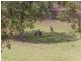 Congewai NSW 2325