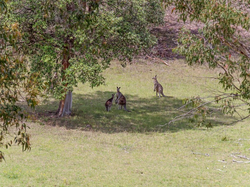 Congewai NSW 2325