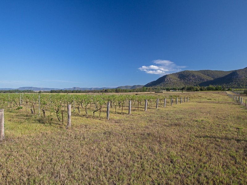 397 Milbrodale Road, Broke NSW 2330