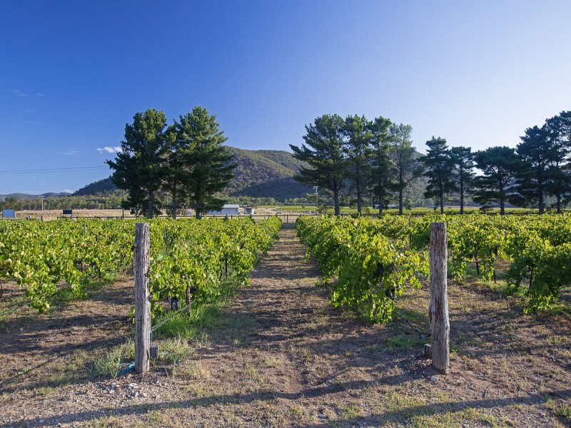 397 Milbrodale Road, Broke NSW 2330