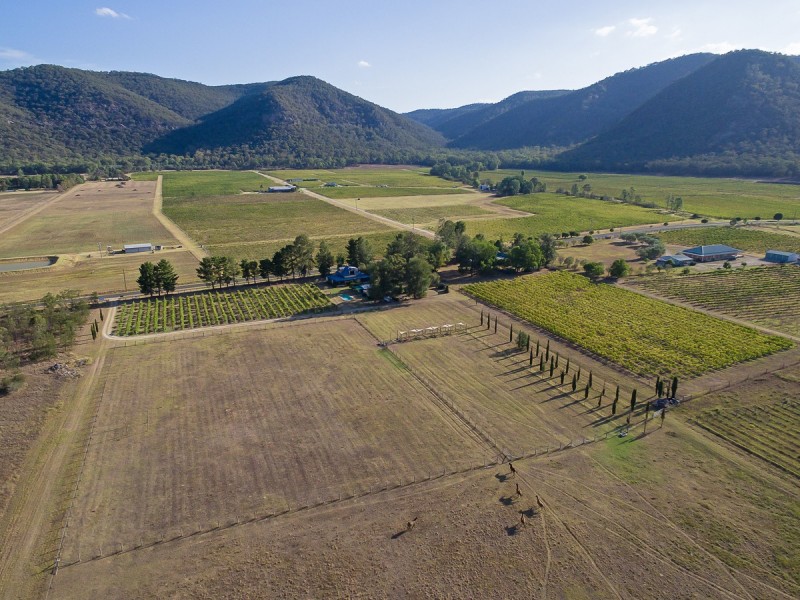 397 Milbrodale Road, Broke NSW 2330