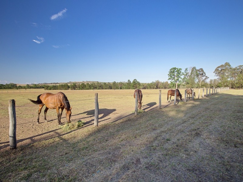397 Milbrodale Road, Broke NSW 2330