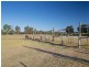 397 Milbrodale Road, Broke NSW 2330