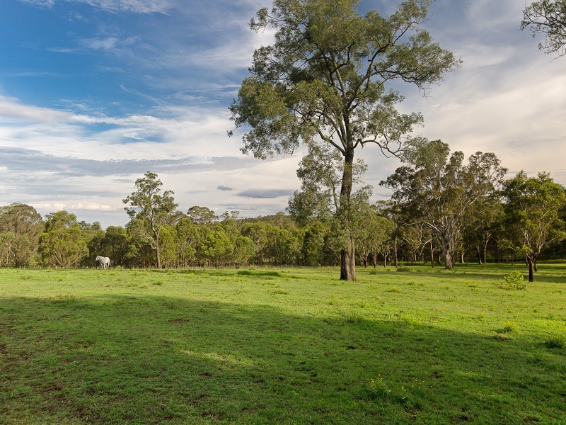 409 Old North Road, Lochinvar NSW 2321