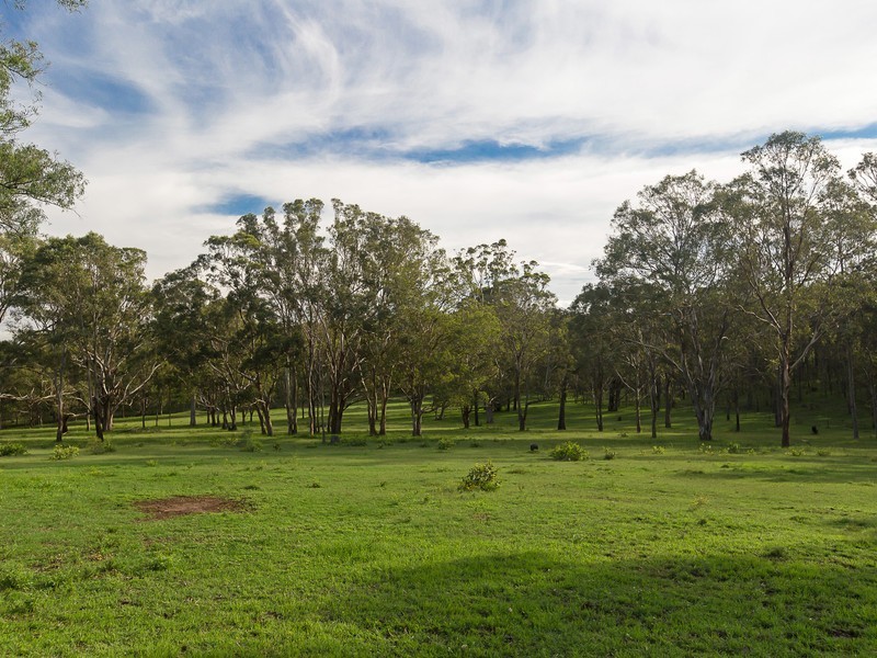 409 Old North Road, Lochinvar NSW 2321