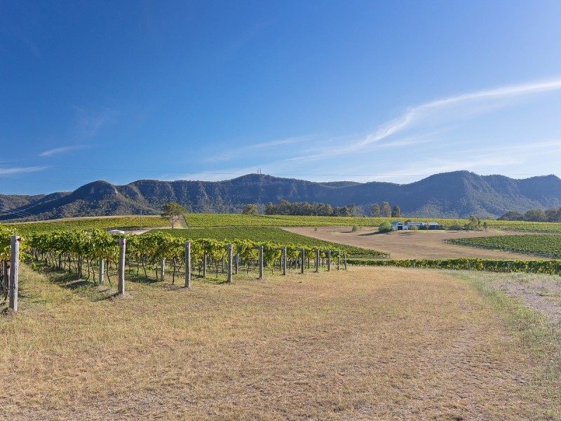 Lot 132,  Mistletoe Lane, Pokolbin NSW 2320