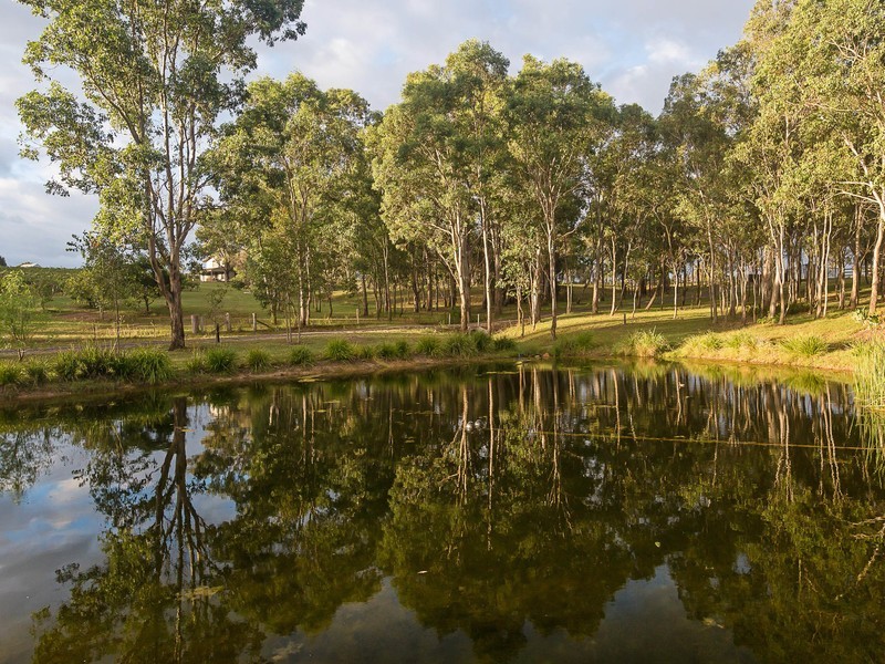 280 Old North Road, Pokolbin NSW 2320