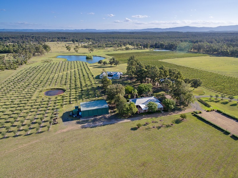 64 Majors Lane, Lovedale NSW 2325