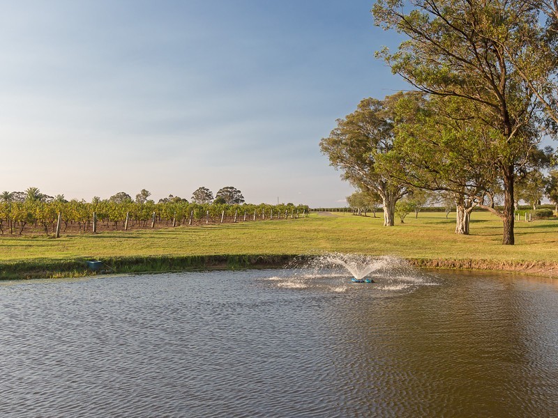 64 Majors Lane, Lovedale NSW 2325