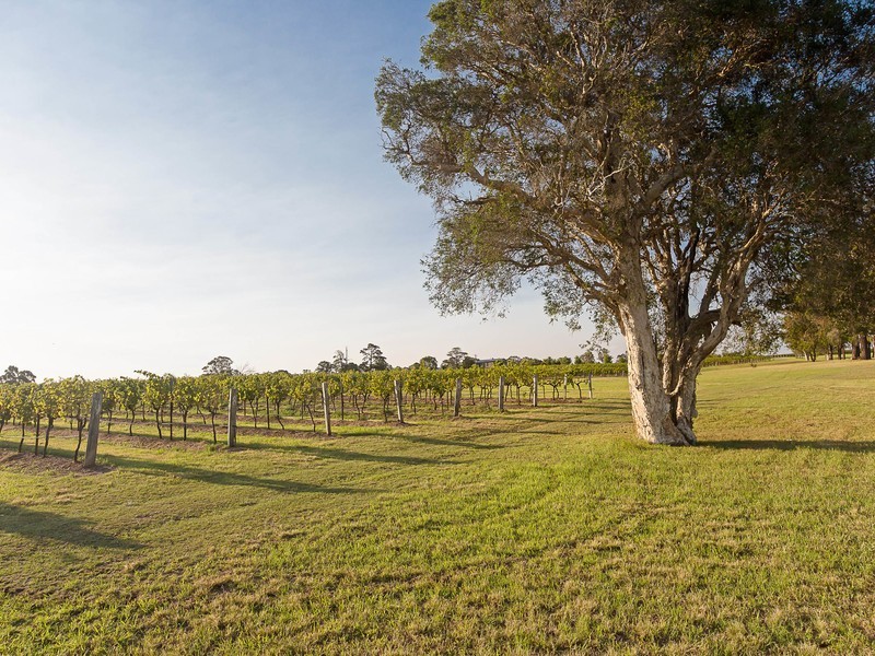 64 Majors Lane, Lovedale NSW 2325