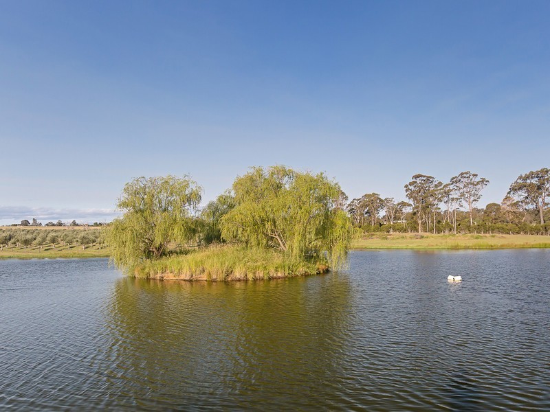64 Majors Lane, Lovedale NSW 2325