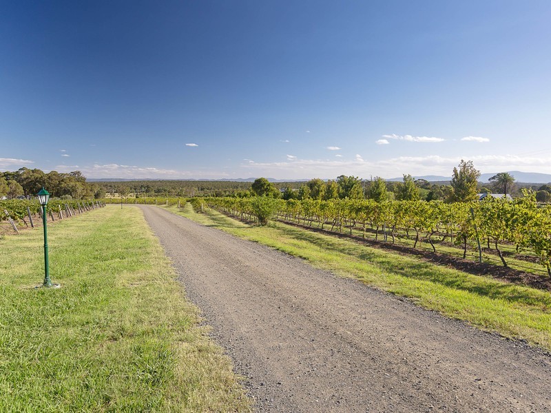 64 Majors Lane, Lovedale NSW 2325