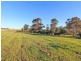 303 Range Road, Whittingham NSW 2330