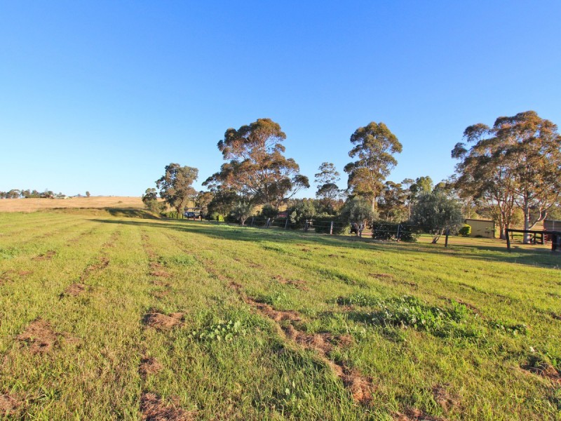 303 Range Road, Whittingham NSW 2330