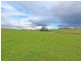 303 Range Road, Whittingham NSW 2330