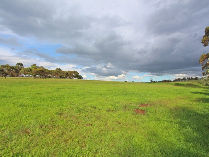 303 Range Road, Whittingham NSW 2330