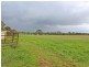 303 Range Road, Whittingham NSW 2330