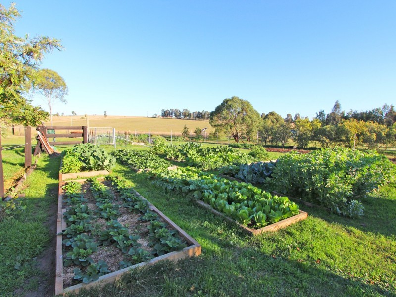 303 Range Road, Whittingham NSW 2330
