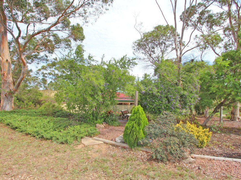 303 Range Road, Whittingham NSW 2330