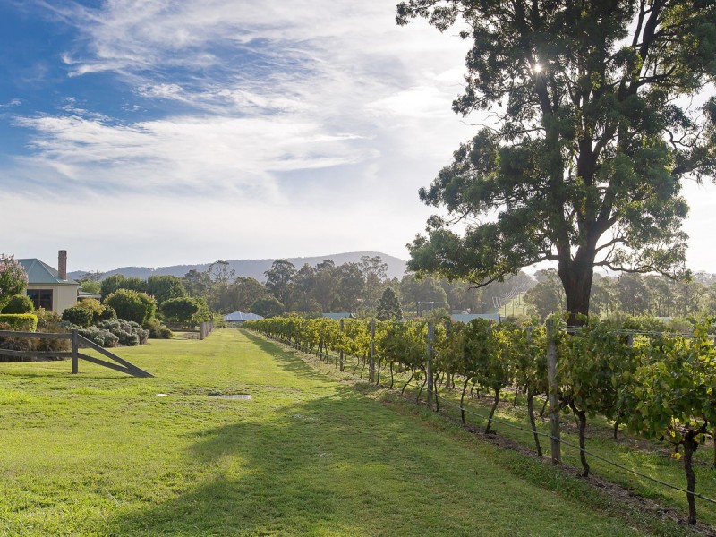 Lot 53, 2 Oakey Creek Road, Pokolbin NSW 2320