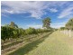 Lot 53, 2 Oakey Creek Road, Pokolbin NSW 2320