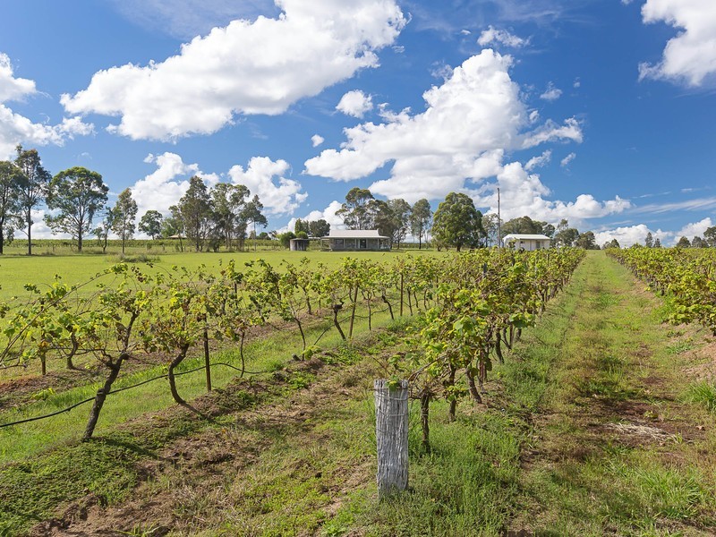 991 McDonalds Road, Pokolbin NSW 2320