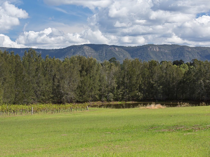 991 McDonalds Road, Pokolbin NSW 2320