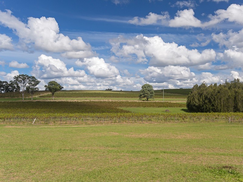 991 McDonalds Road, Pokolbin NSW 2320