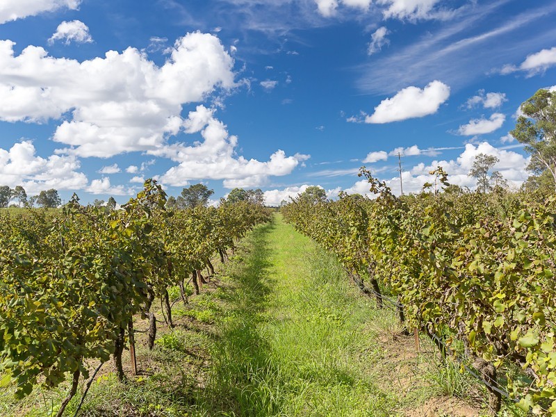 991 McDonalds Road, Pokolbin NSW 2320