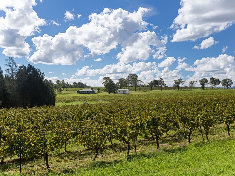 991 McDonalds Road, Pokolbin NSW 2320