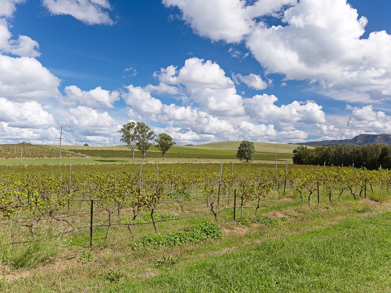 991 McDonalds Road, Pokolbin NSW 2320