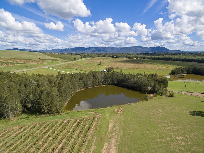 991 McDonalds Road, Pokolbin NSW 2320