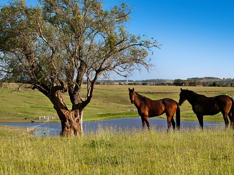 665 Luskintyre Road, Luskintyre NSW 2321