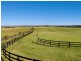 665 Luskintyre Road, Luskintyre NSW 2321