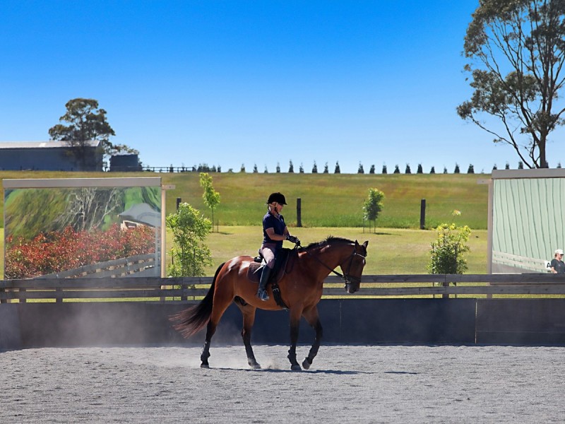 665 Luskintyre Road, Luskintyre NSW 2321